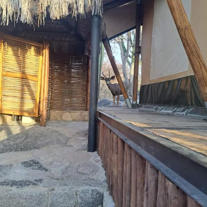 Photo of Others in La Paz