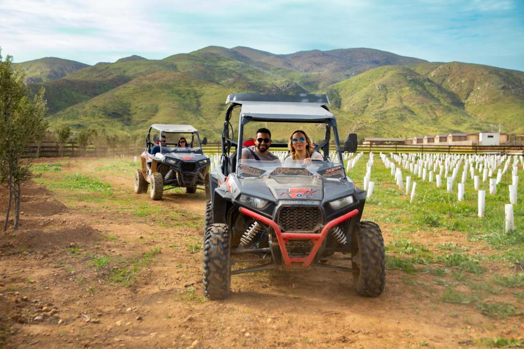 Photo of Others in Valle de Guadalupe