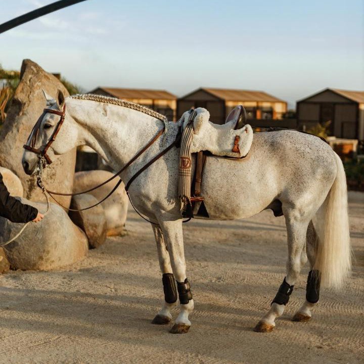 Photo of Others in Valle de Guadalupe