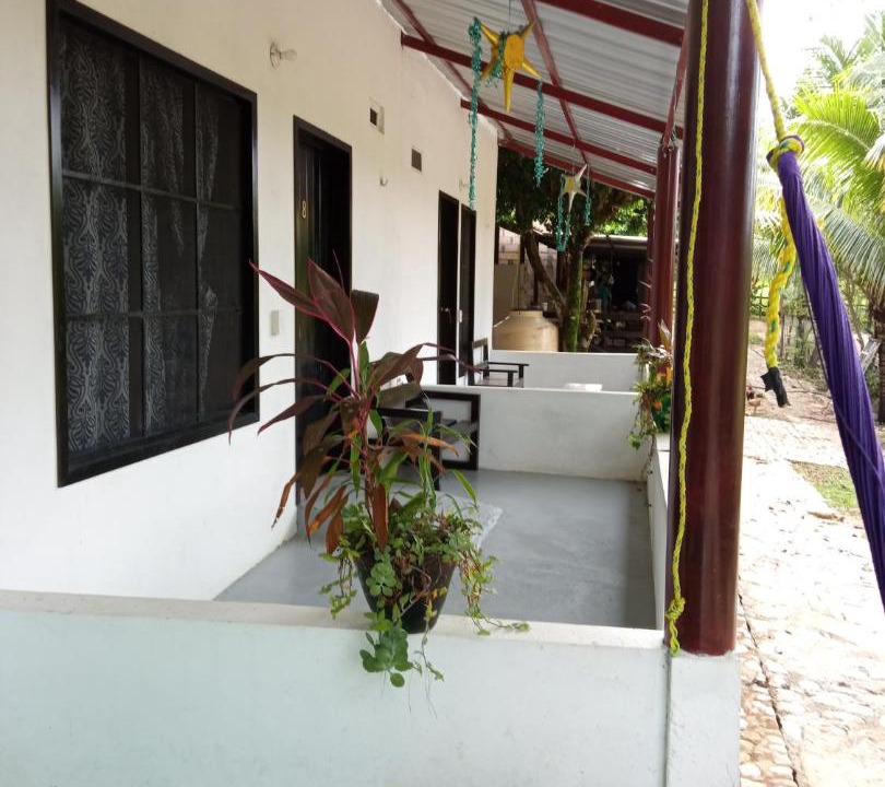 Photo of Others in Palenque