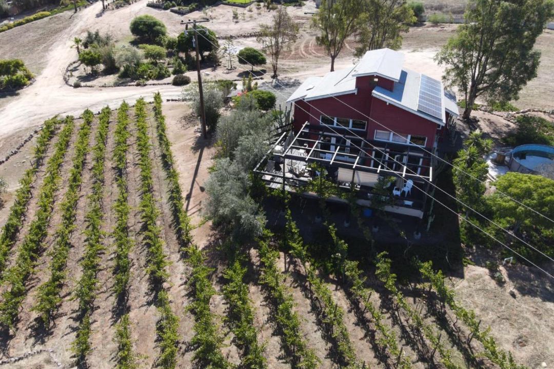 Photo of Others in Valle de Guadalupe