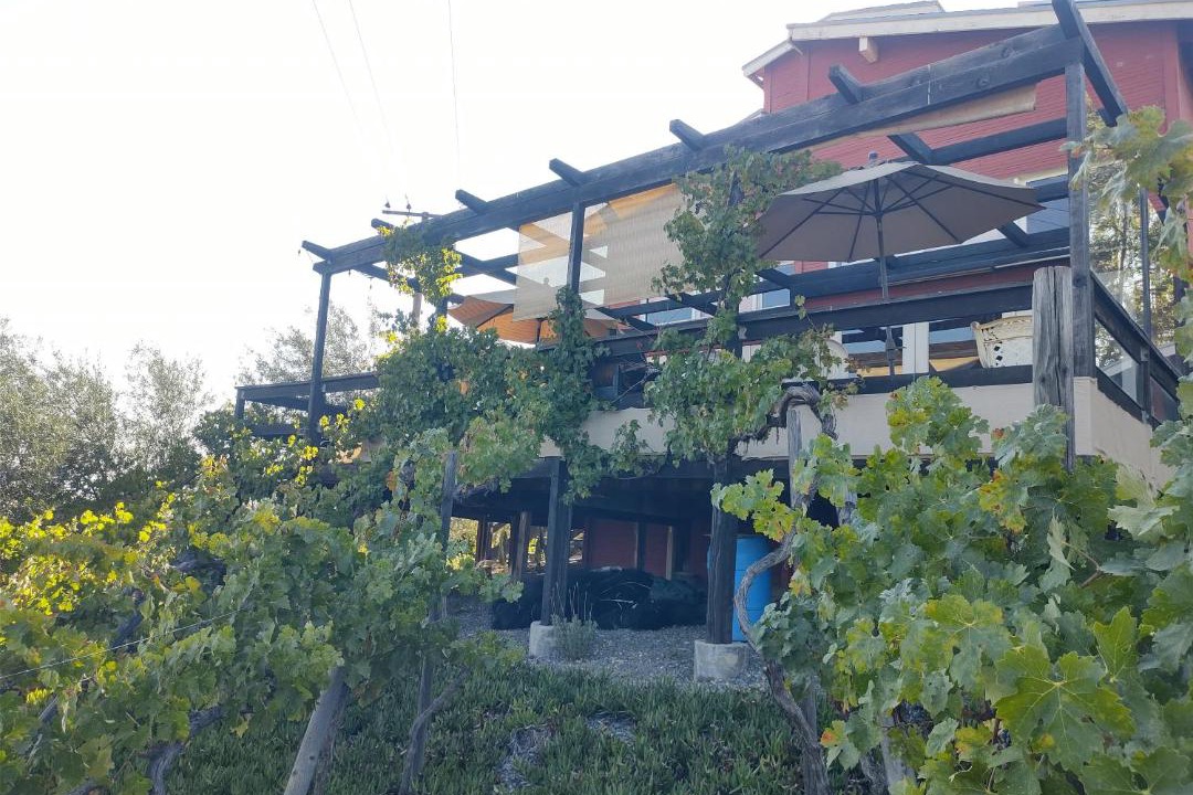Photo of Others in Valle de Guadalupe