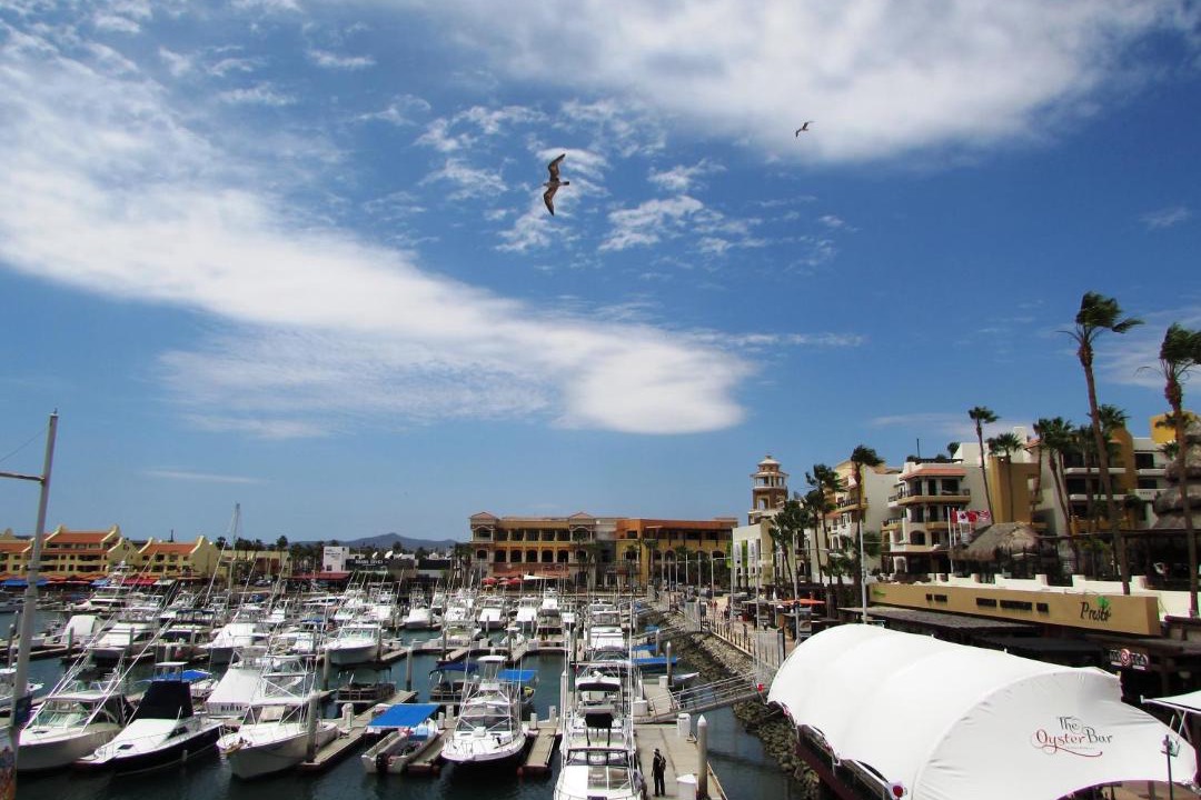 Photo of Others in Marina