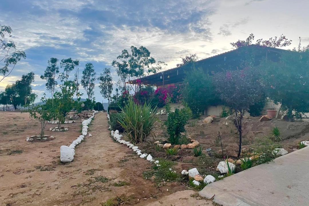 Photo of Others in Valle de Guadalupe