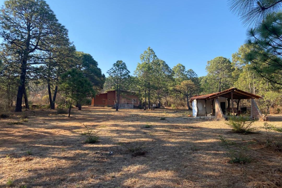 Photo of Buildings in Tapalpa