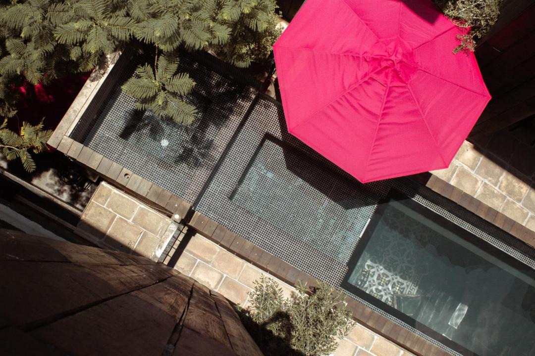 Photo of Others in Leon Centro