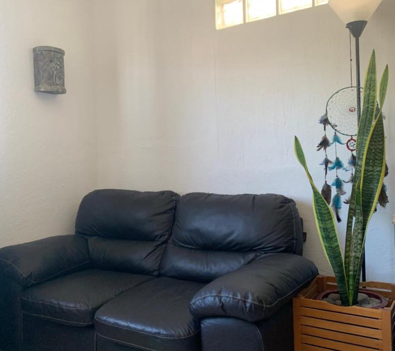 Photo of Livingroom in La Paz