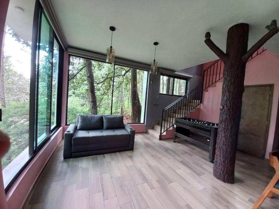 Photo of Livingroom in Mazamitla