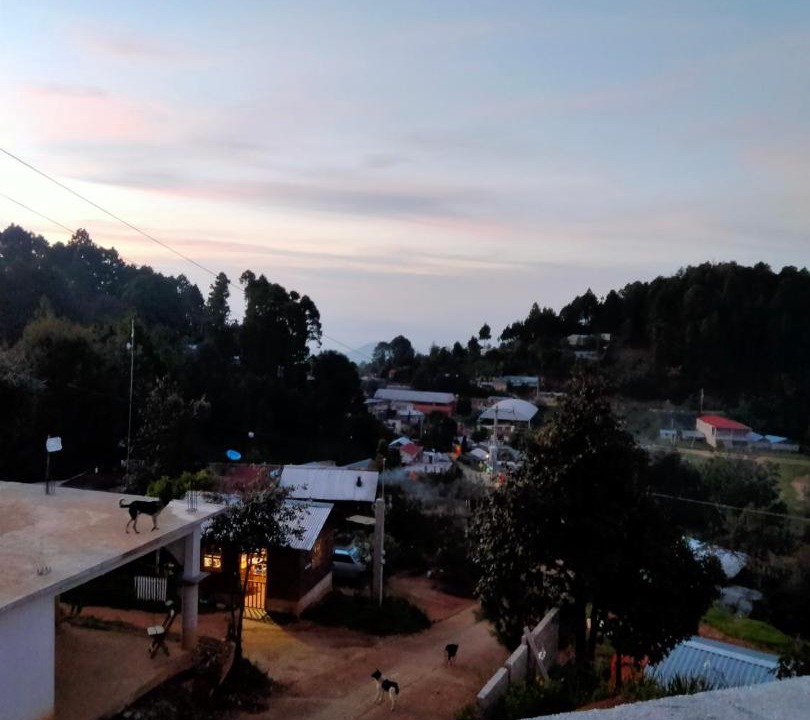 Photo of Others in San Sebastian Rio Hondo