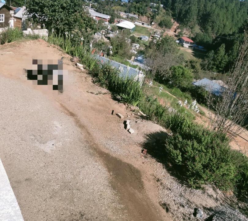 Photo of Outdoor in San Sebastian Rio Hondo