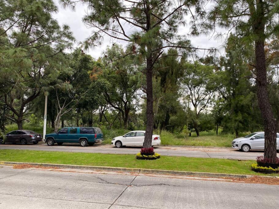 Photo of Others in Zapopan