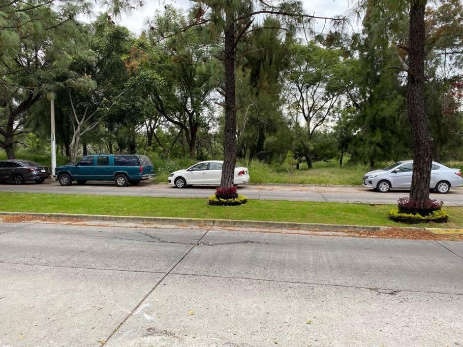 Photo of Others in Zapopan