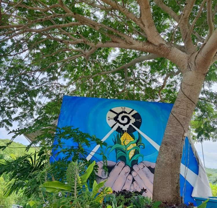 Photo of Others in Troncones