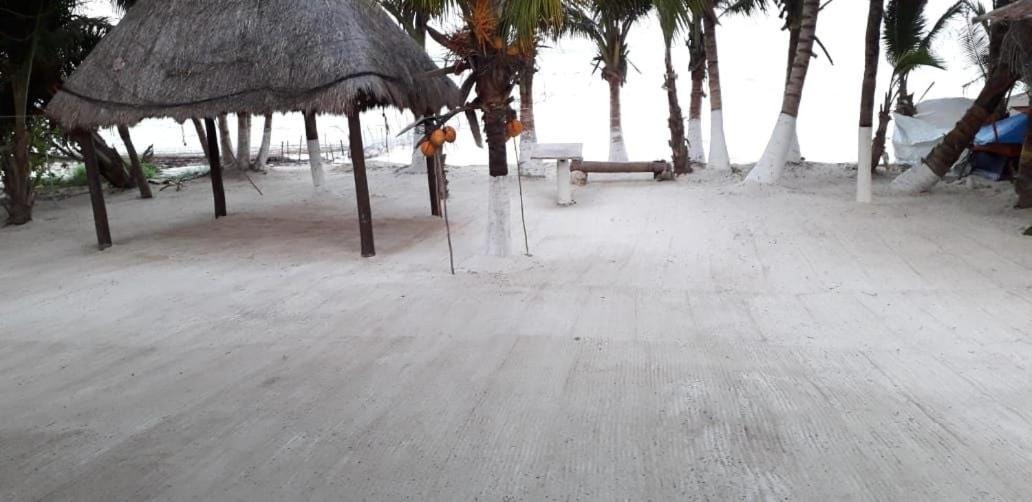 Photo of Others in Mahahual