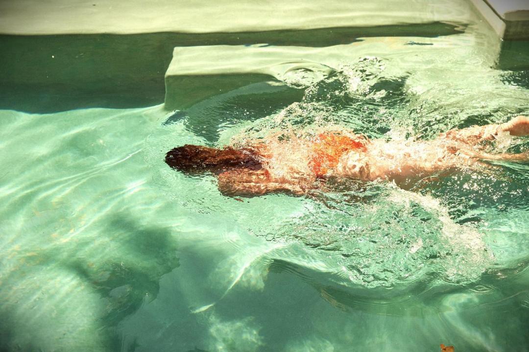 Photo of Others in Playa Las Gatas