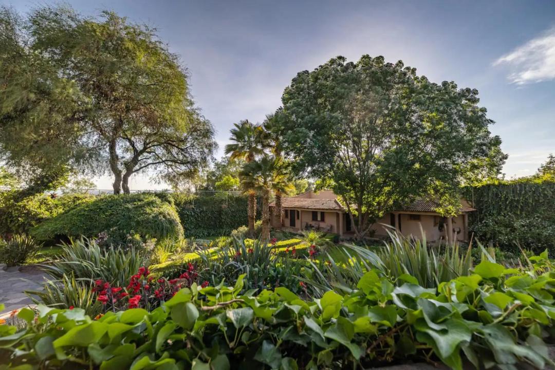Photo of Outdoor in San Miguel de Allende