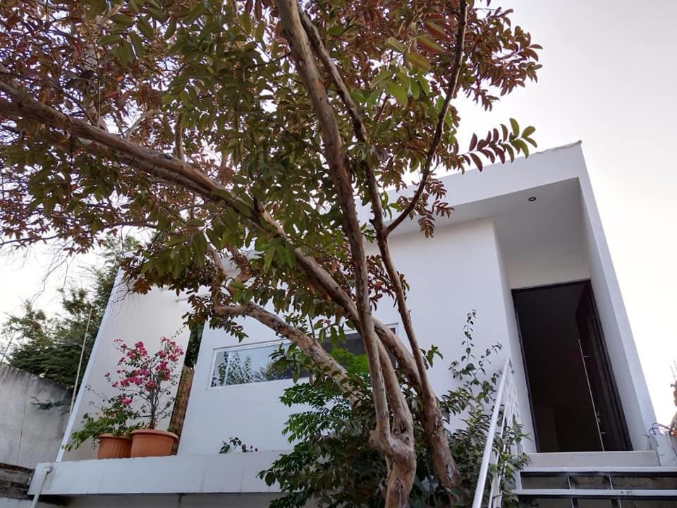 Photo of Buildings in Ciudad Fernandez