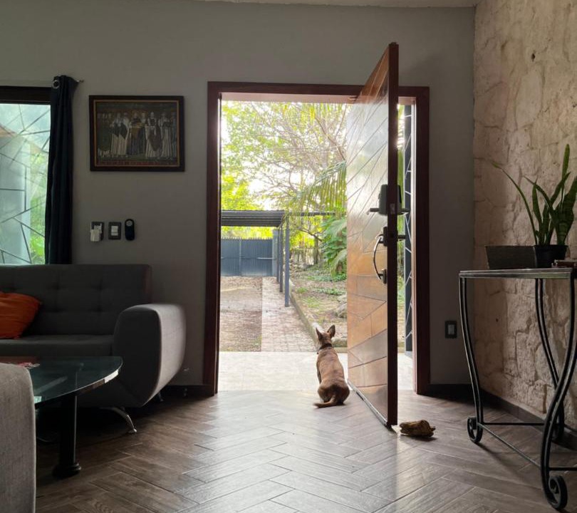 Photo of Livingroom in Mario Villanueva Madrid