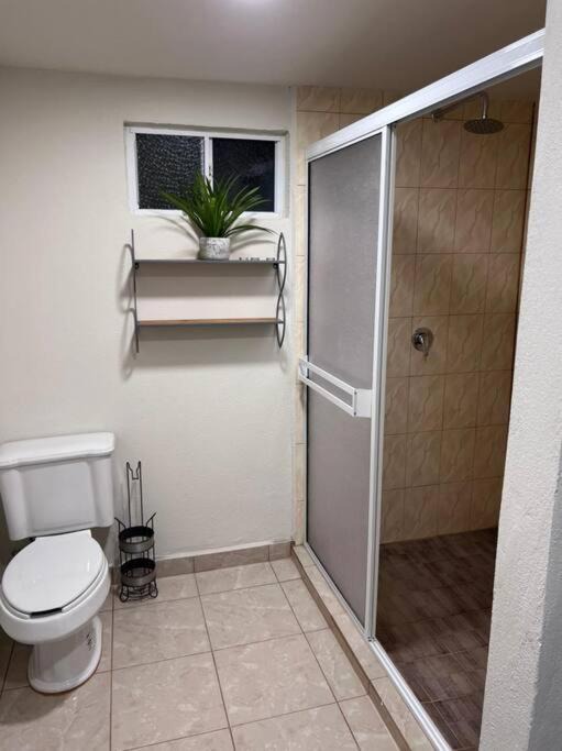 Photo of Bathroom in San Ignacio