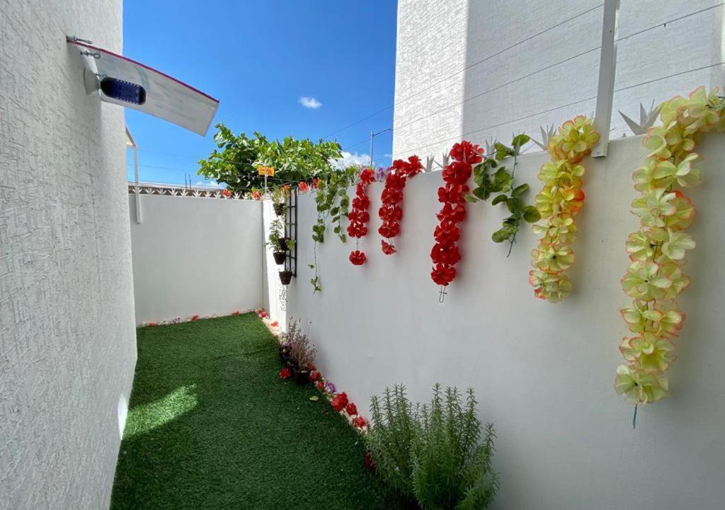 Photo of Buildings in Manzanillo