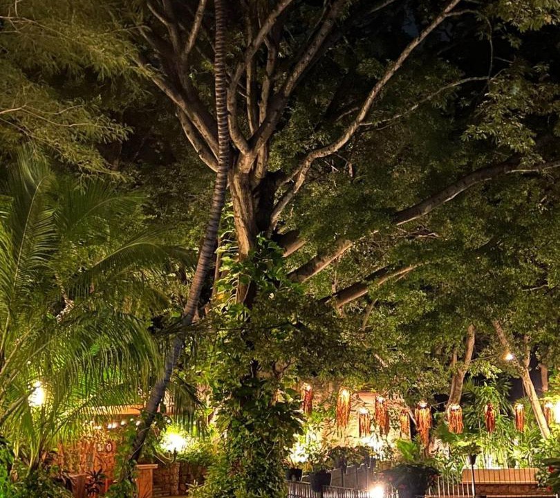 Photo of Outdoor in Chiapa De Corzo