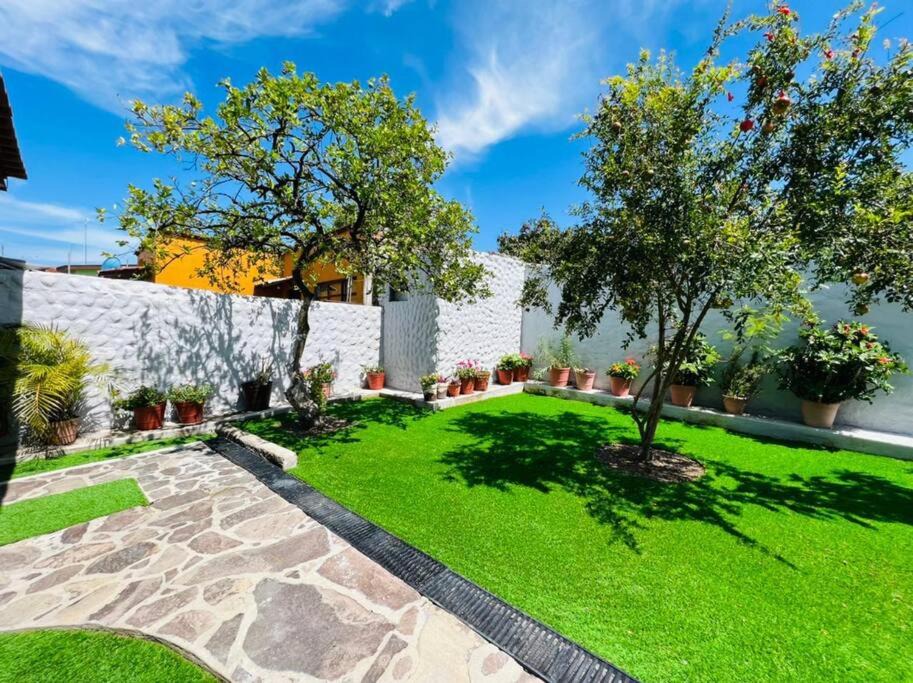 Photo of Buildings in Chapala