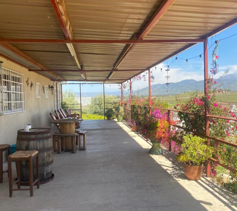Photo of Others in Valle de Guadalupe