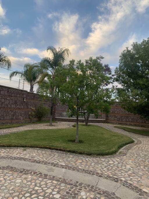Photo of Others in Leon