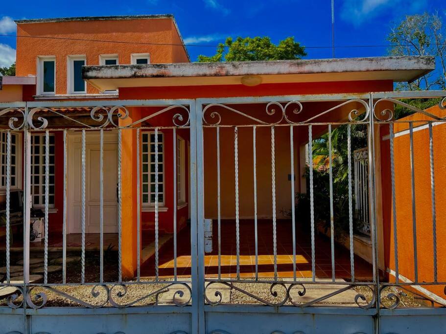 Photo of Others in Felipe Carrillo Puerto
