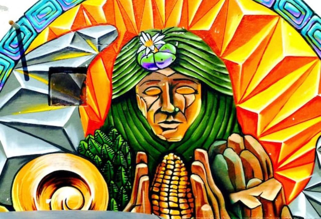 Photo of Others in Colonia Guadalupe