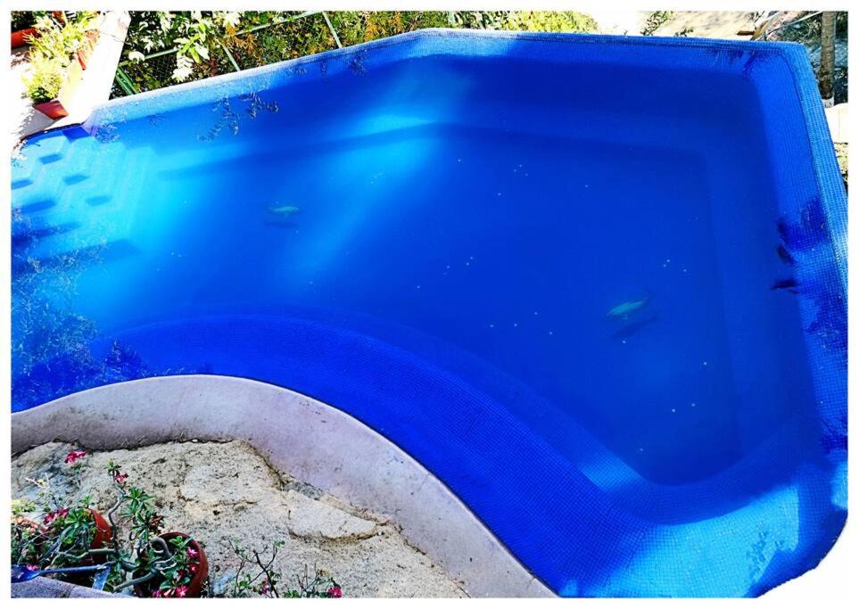 Photo of Outdoor in Caleta