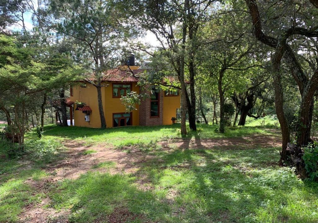 Photo of Others in Mazamitla