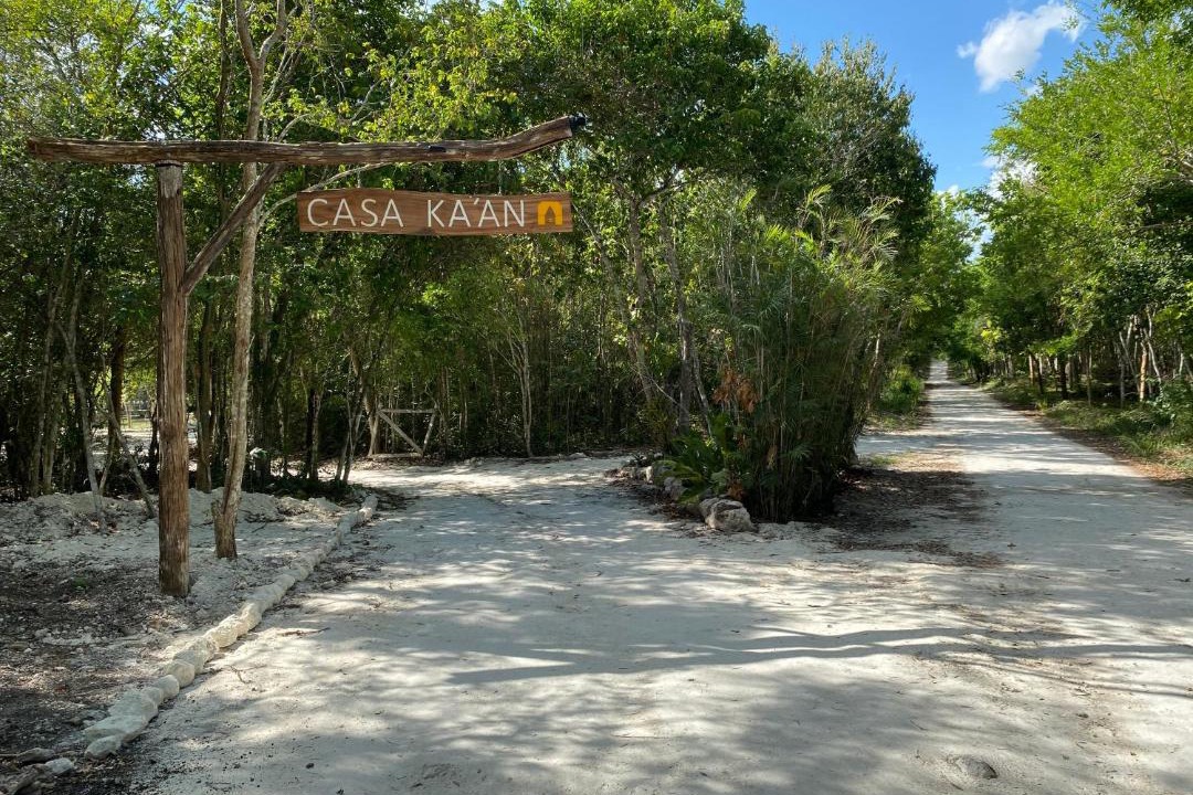 Photo of Others in Xpujil