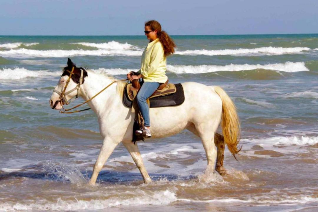 Photo of Human In Picture in South Padre Island
