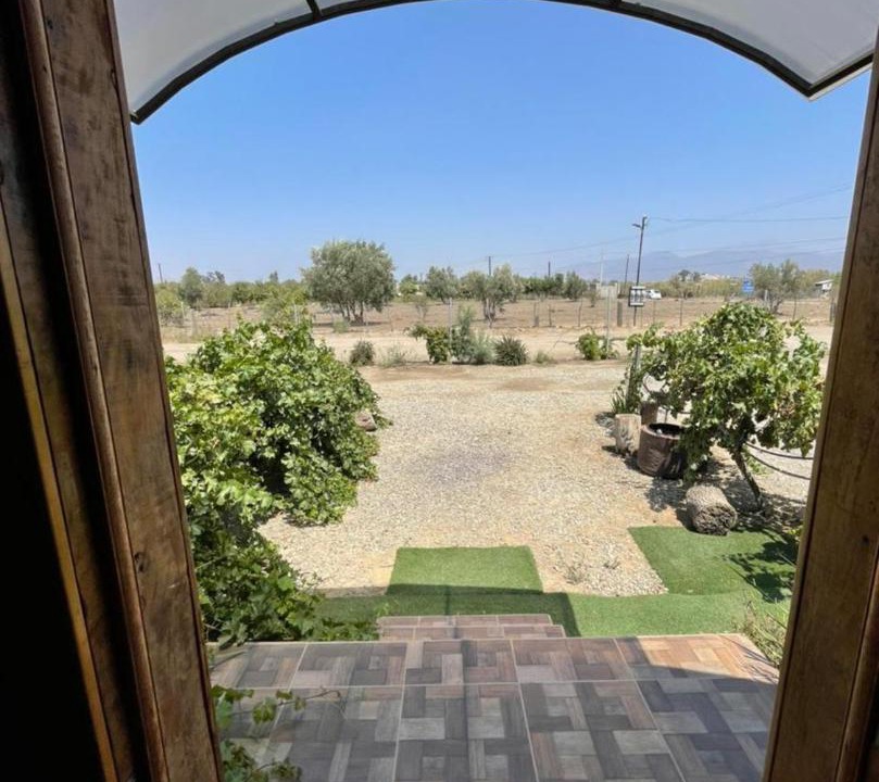Photo of Others in Valle de Guadalupe
