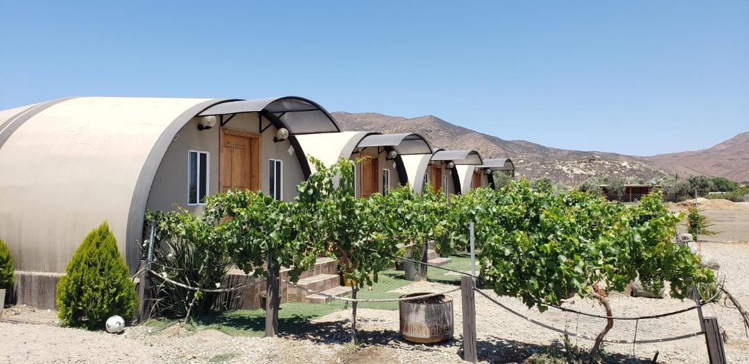 Photo of Others in Valle de Guadalupe