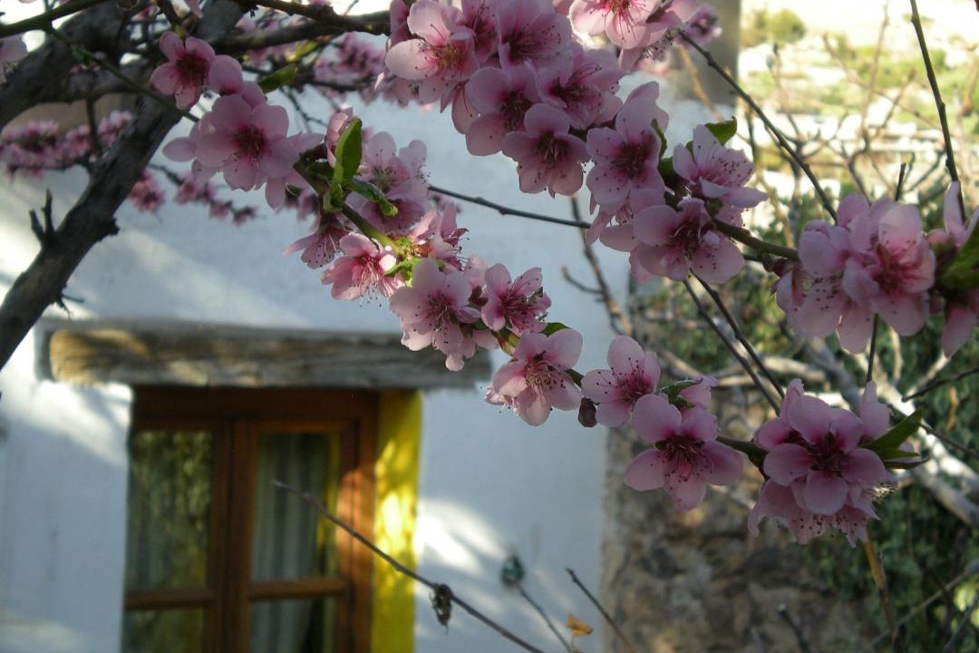 Photo of Others in Real de Catorce