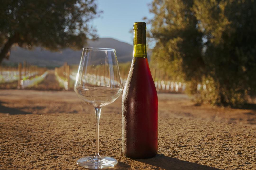 Photo of Others in Valle de Guadalupe