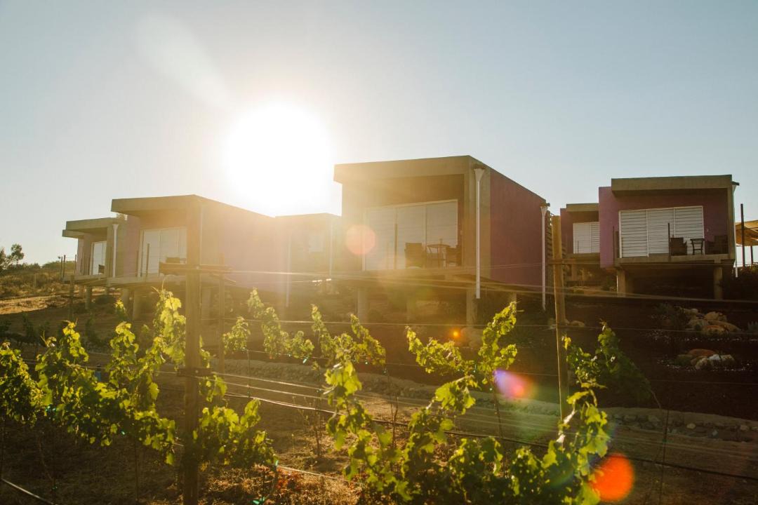 Photo of Others in Valle de Guadalupe