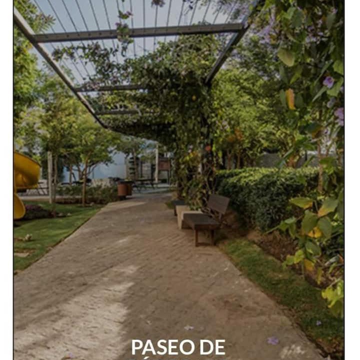 Photo of Others in Zapopan
