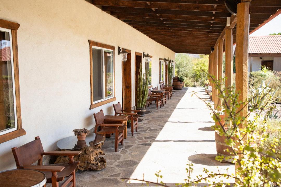 Photo of Others in Valle de Guadalupe