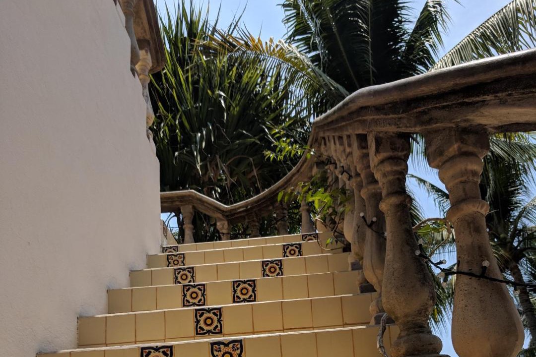 Photo of Others in Troncones