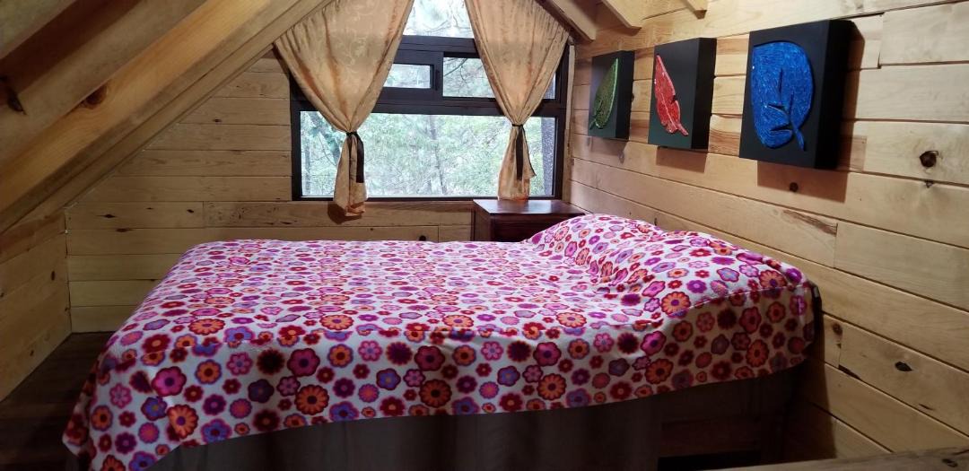 Photo of Bedroom in Mazamitla