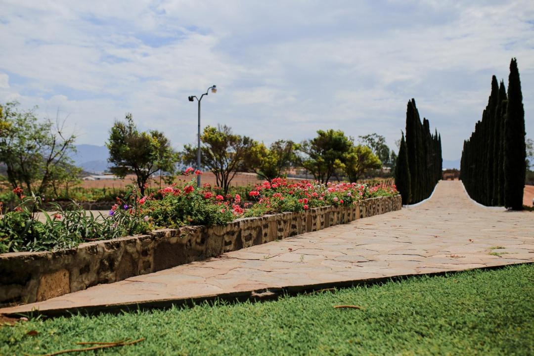 Photo of Others in San Antonio de las Minas