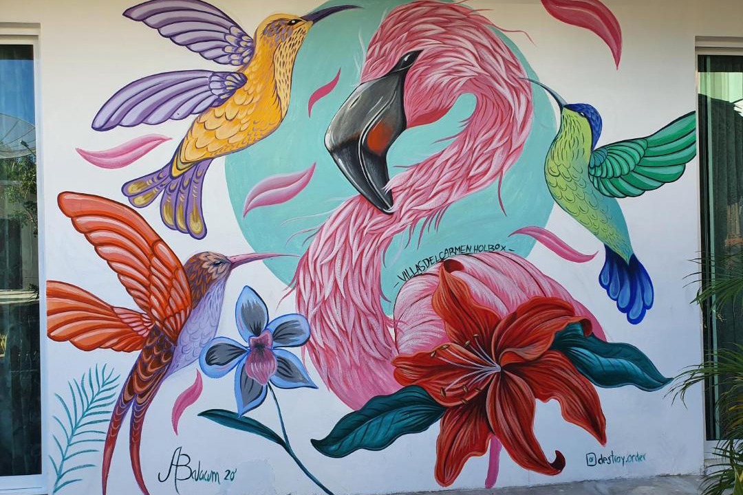 Photo of Others in Isla Holbox