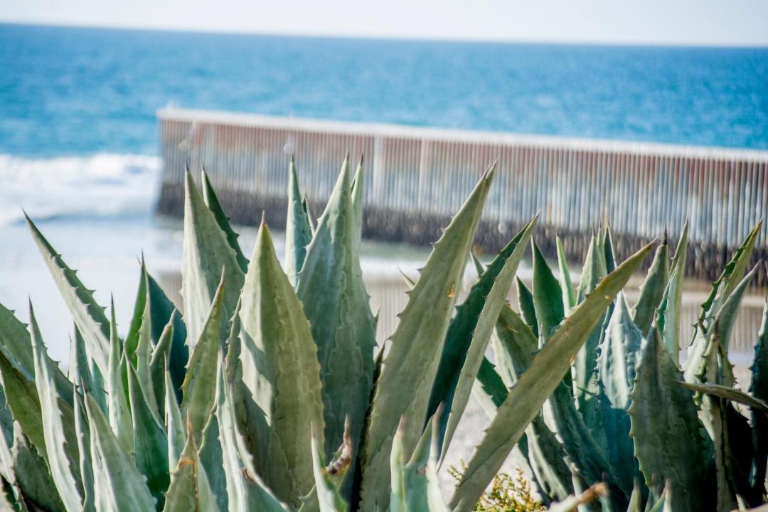 Photo of Others in Playas de Tijuana