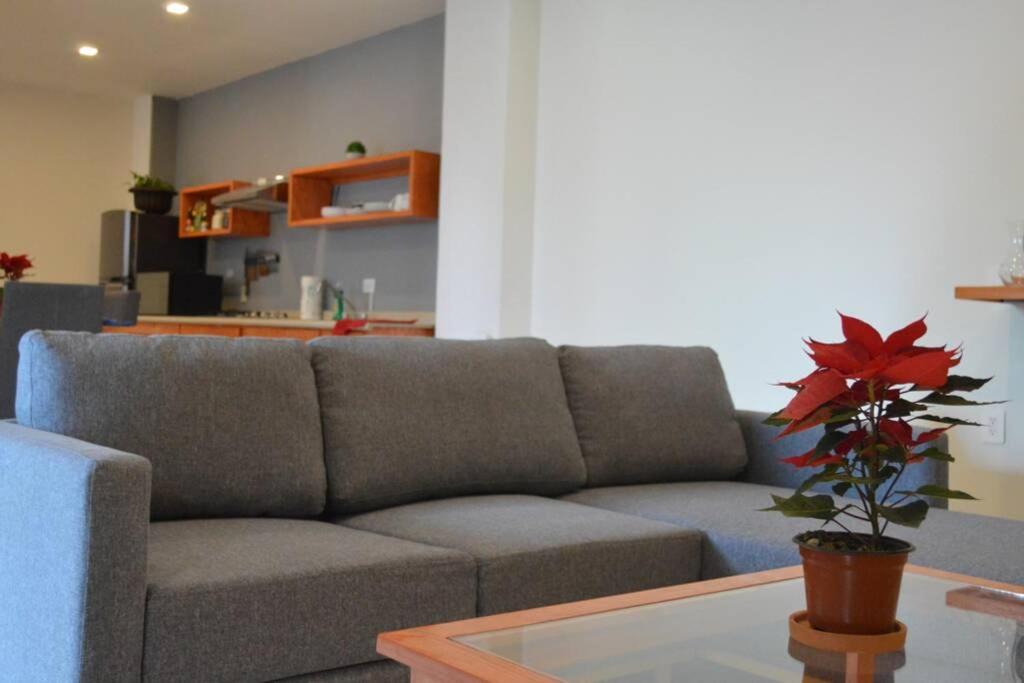 Photo of Livingroom in Fresnillo