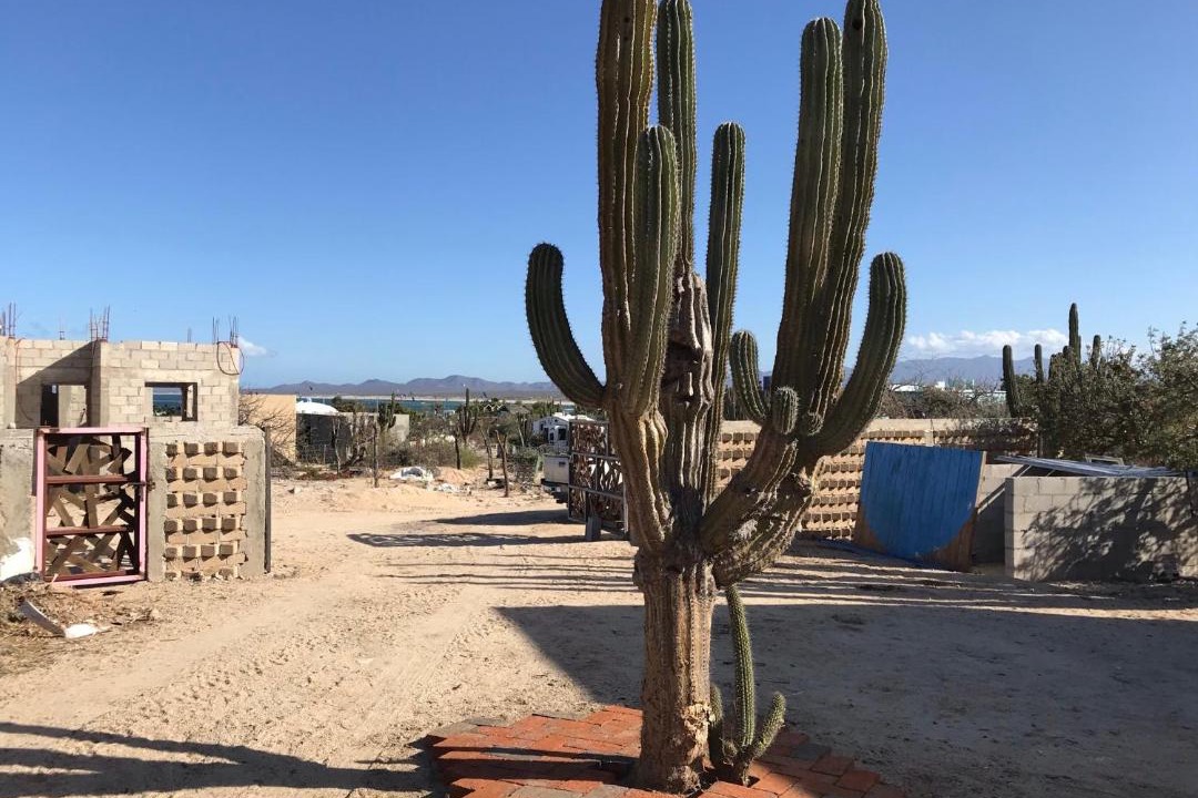 Photo of Buildings in La Ventana
