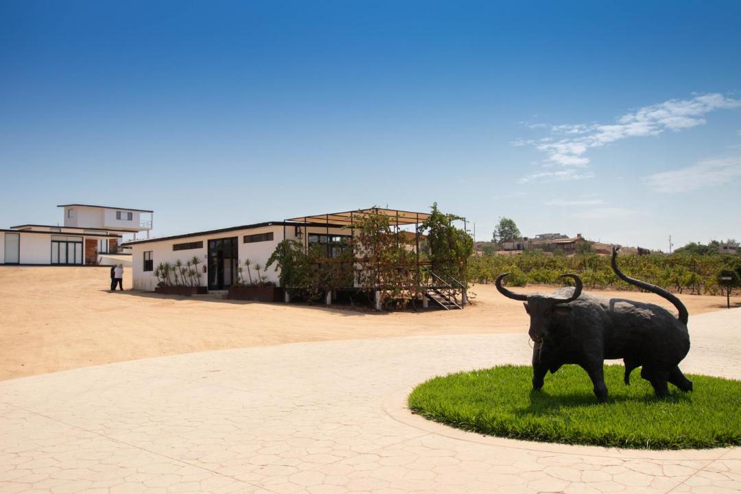 Photo of Others in Valle de Guadalupe