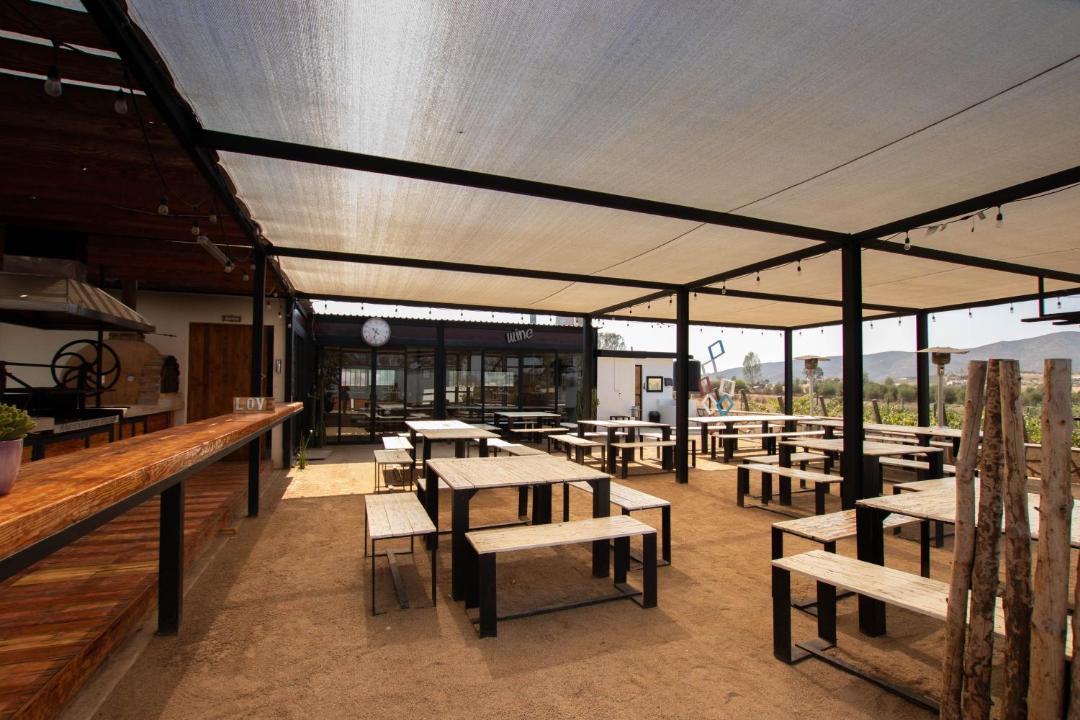 Photo of Others in Valle de Guadalupe